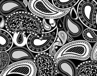 Paisley Black White