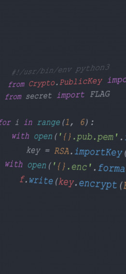 Coding iPhone Wallpaper