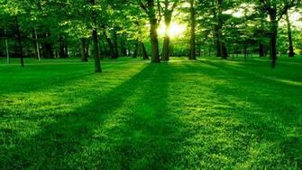 Landscape HD Wallpaper Nature