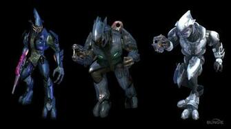Halo Elite Wallpaper