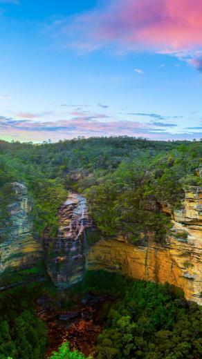 Wallpaper Of The Week Forests Mid Atlantic Consulting