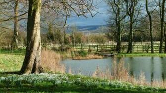 Spring Lake Desktop Pc And Mac Wallpaper