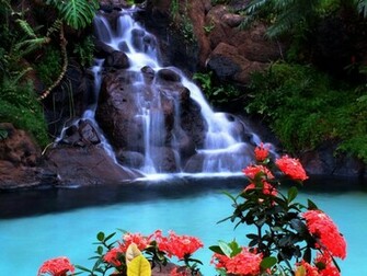 Fall Wallpaper Water