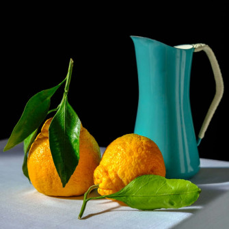Still Life Picture Wallpaper