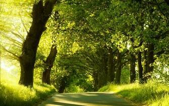 Green Nature Dual Monitor Other Jpg