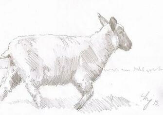 Pencil Sketch Art Designs Photos Wallpaper