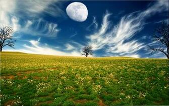 Nice Background For Desktop Net