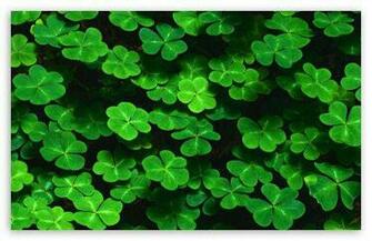 Wallpaper Black Pictures Background Clover