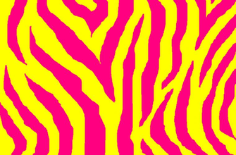 Zebra Myspace Layouts Profiles And Background At All4myspace