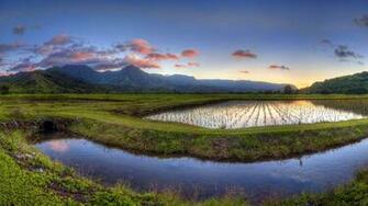 Hanalei Valley Kauai Hawaii Ian Philip Miller Getty Image