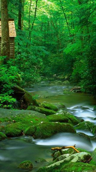 Widescreen Collection Of Android Nature On HD Wallpaper