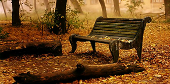 Fall High Definition Wallpaper My HD