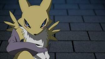 Sitting Renamon Wallpaper By Dorcimetal