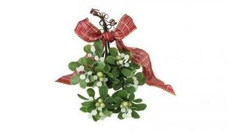 Kissing Under The Mistletoe HD 1080p Wallpaper