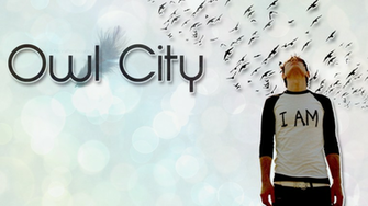 Owl City Wallpaper