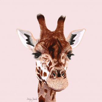 Hayley Daniel Art