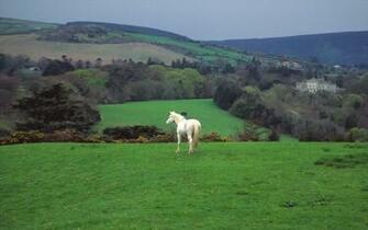 Irish Countryside Wallpaper