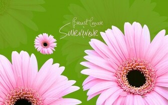Breast Cancer Wallpaper Survivor Of HD