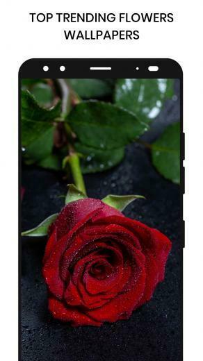 Flowers Wallpaper For Android Apk