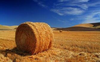 Hay Bale On The Field Wallpaper