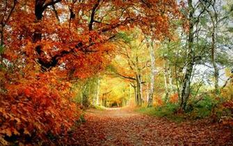 Autumn Beauty X Close