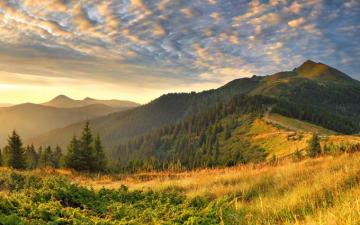 Beautiful Spring Morning Wallpaper And Image
