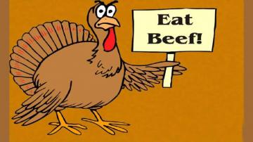 Funny Thanksgiving Desktop Wallpaper
