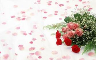 Red Roses With White Background