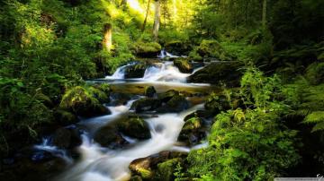 Black Forest Germany Ultra HD Desktop Background Wallpaper For 4k