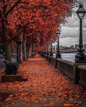 Politprivet On Autumn Photography Scenery Fall