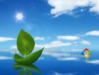 Windows With Flower Art Background Fine Wallpaper