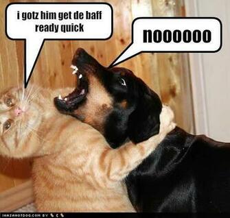Funny Dogs And Cats HD Farting