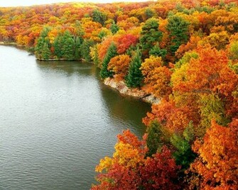 Amazing Colorful Autumn Scenery Wallpaper Is A Great
