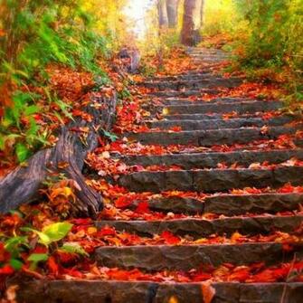 New Beautiful Autumn Wallpaper Desktop Full HD