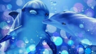 Dolphin Heart Wallpaper HD