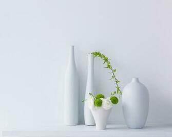 Clean And Simple Natural Plants Wallpaper World