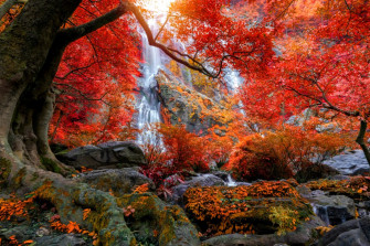 Beautiful Waterfalls In The Rain Forest Jungle Custom Mural