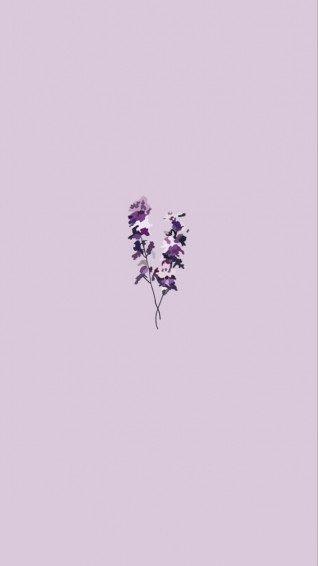 Simple Lavender Flowers Phone Wallpaper R Softaesthetic