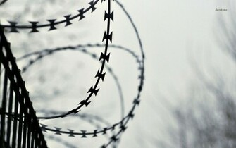 Barbed Wire Fence Wallpaper Photography