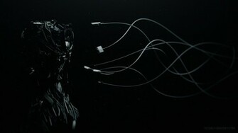 Dragon Tattoo Wallpaper