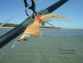 Source Url Saltwaterflyfishing Au S Php