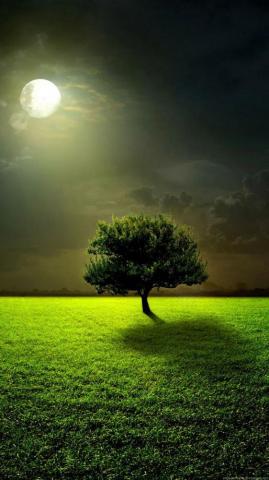 Full Moon Lock Screen Samsung Galaxy Note Wallpaper