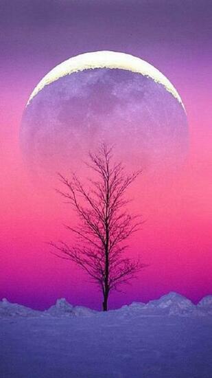Aesthetic Background High Resolution