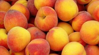Peaches Fruit Wallpaper