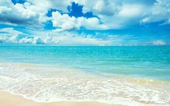Sunny Day HD Wallpaper For Desktop