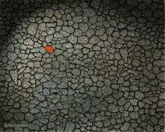 Desktop S Surreal Rendered 3d Designs And Other Cool Stuff