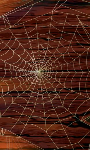 Spiders HD Live Wallpaper For Android