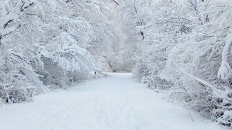 National Weather Service Current Snow Update Crossville News