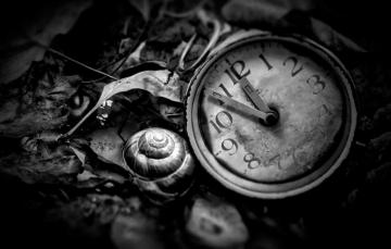 Wallpaper Watch Black And White Time Is Now Image For Desktop