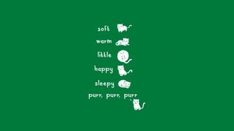 The Big Bang Theory Soft Kitty Song Wallpaper High Definition